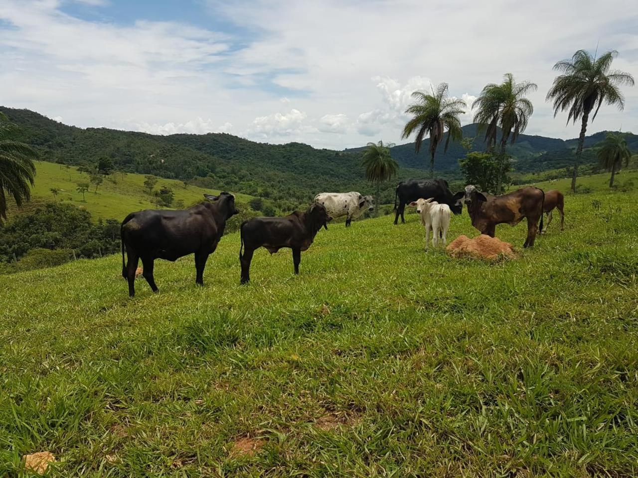 Pousada Rancho Flores Caete Exterior photo